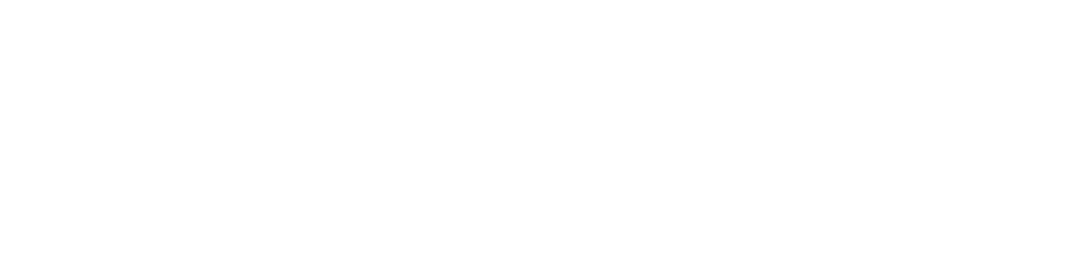 Sussudio Group
